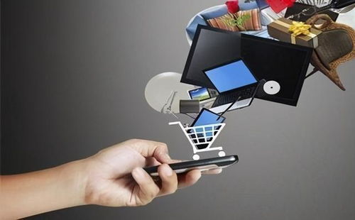 尊享V服務熱潮下的網(wǎng)絡購物監(jiān)管與互聯(lián)網(wǎng)安全服務